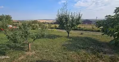 Teren Central