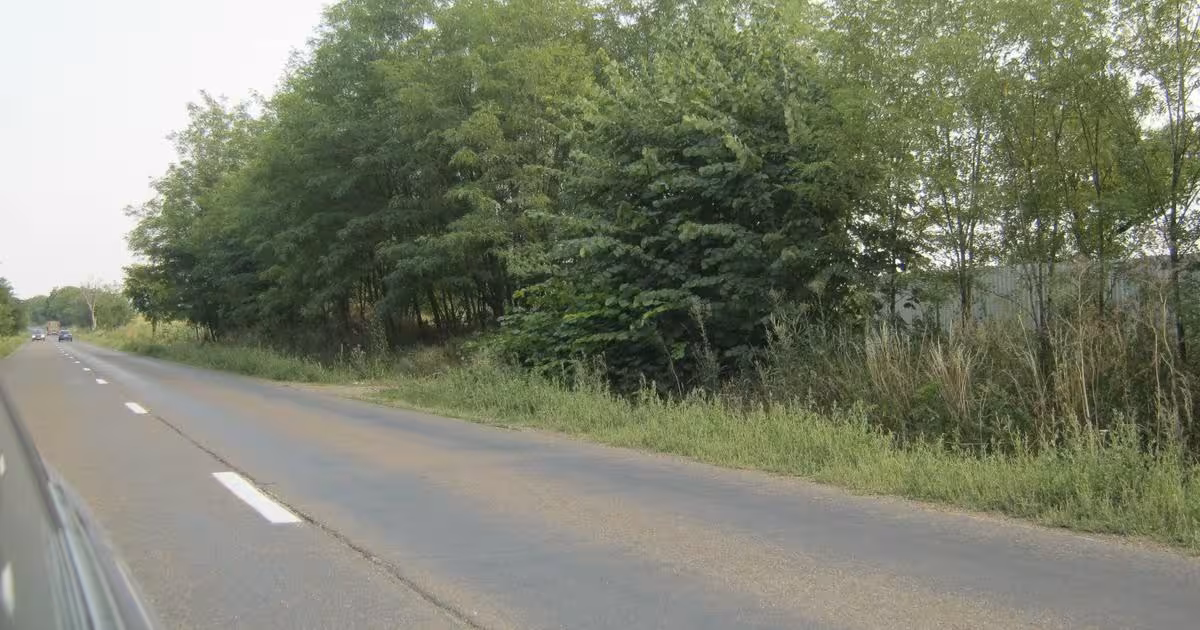 Teren agricol intravilan de vânzare de 28000 mp, în zona Periferie, Botoșani