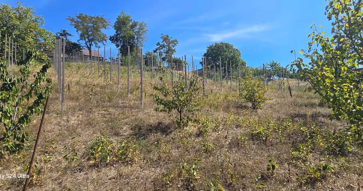 Teren Construcții intravilan de vânzare de 3000 mp, în zona Central, Botoșani