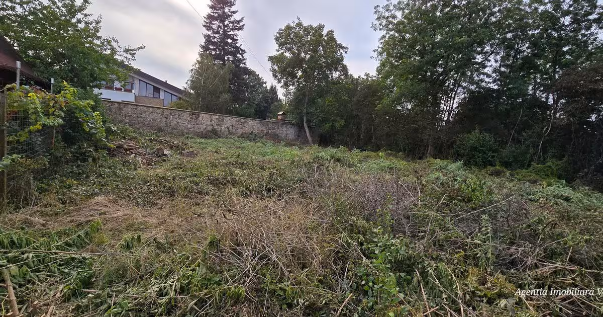 Teren Construcții intravilan de vânzare de 1500 mp, în zona Central, Botoșani