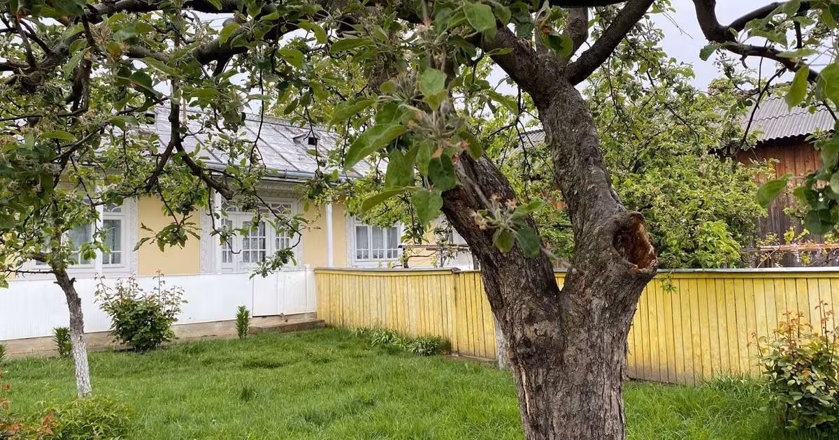 Casă individuală de vânzare cu 3 camere în zona Central, Botoșani