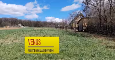 Teren Baisa