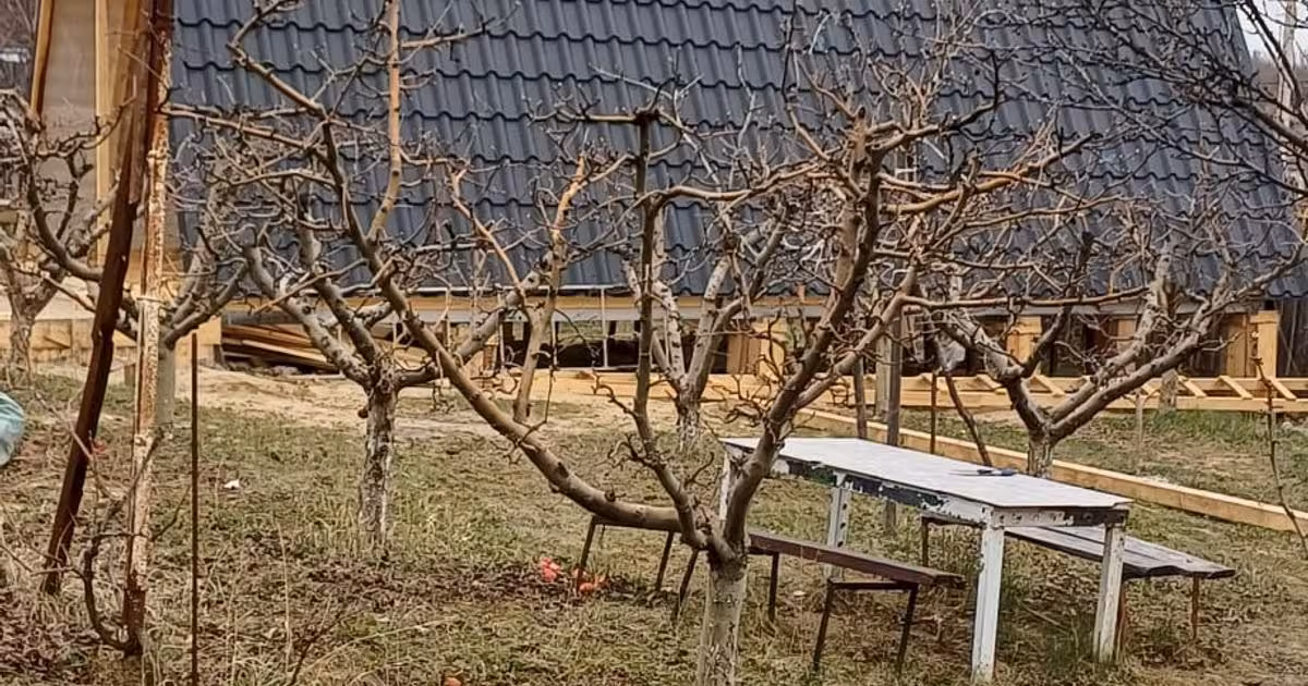 Casă individuală de vânzare cu 3 camere în Baisa
