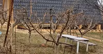 Casă Baisa