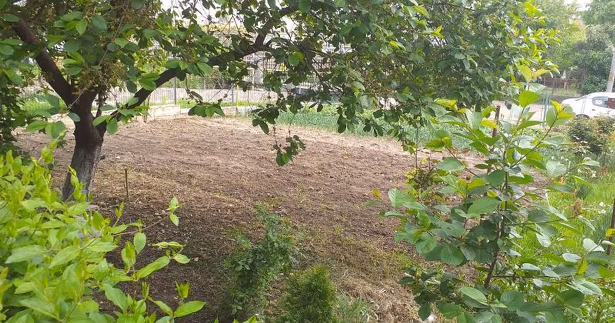 Teren Construcții intravilan de vânzare de 2479 mp, în zona Central, Botoșani