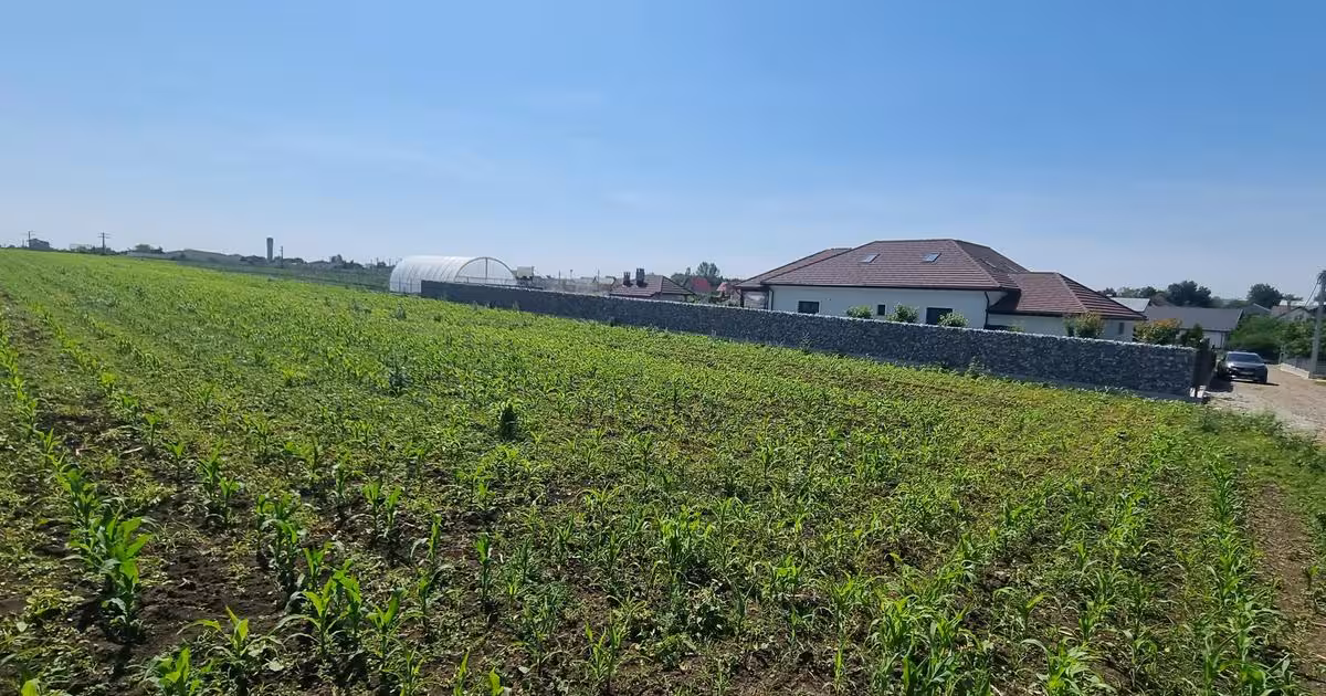 Teren Construcții intravilan de vânzare de 10000 mp, în Cătămărești-Deal