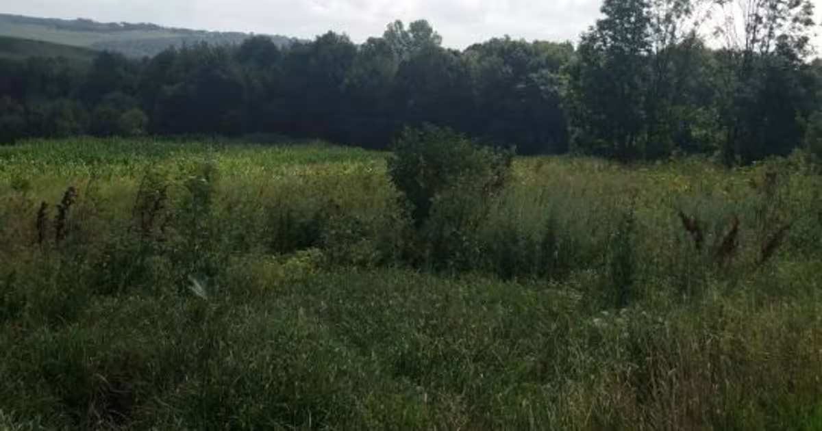 Teren Construcții intravilan de vânzare de 8200 mp, în zona Central, Botoșani