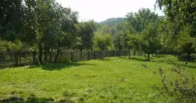 Teren Central