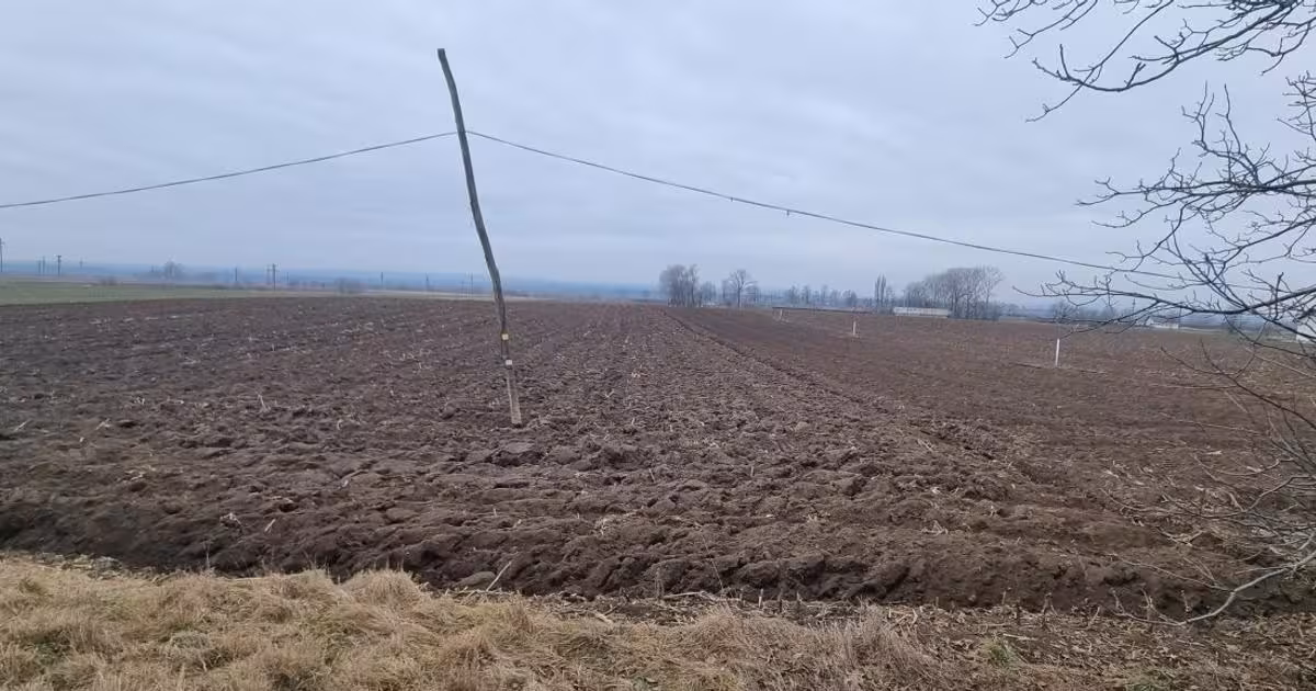 Teren Construcții intravilan de vânzare de 23100 mp, în Bucecea