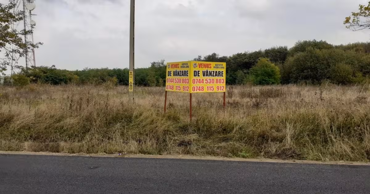 Teren Construcții intravilan de vânzare de 5000 mp, în Baisa