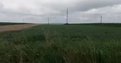 Teren Periferie