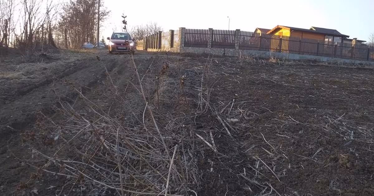 Teren Construcții intravilan de vânzare de 705 mp, în zona Periferie, Botoșani
