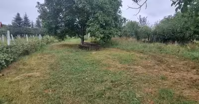 Teren Central