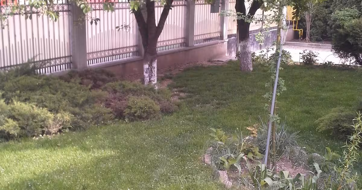 Teren Construcții intravilan de vânzare de 2389 mp, în zona Central, Botoșani
