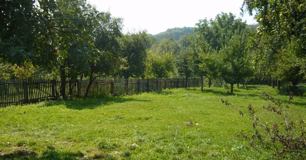 Teren Construcții extravilan de vânzare de 3800 mp, în zona Central, Botoșani