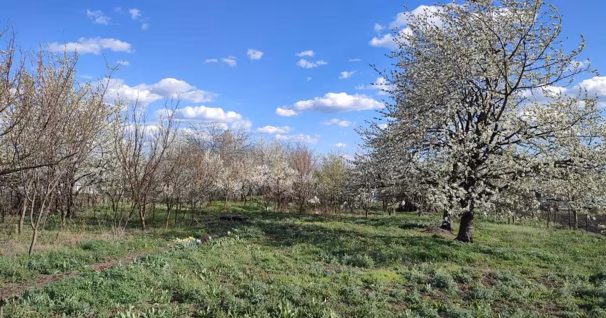 Teren Construcții intravilan de vânzare de 1900 mp, în Stăuceni
