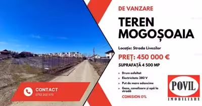 Teren Mogoșoaia