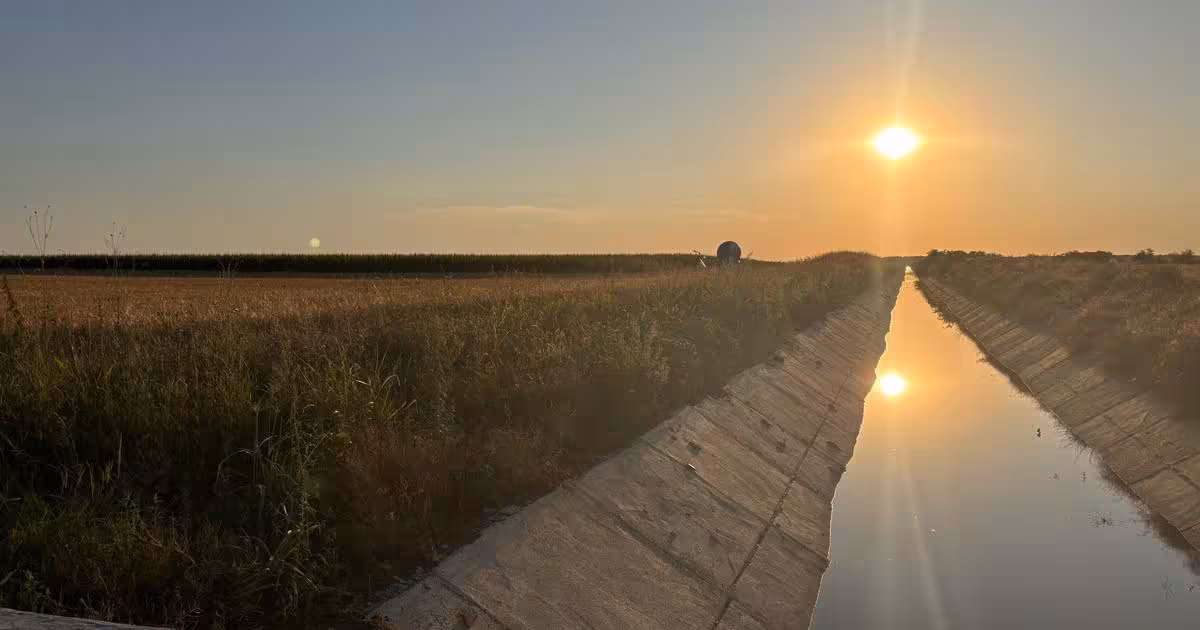 Teren agricol extravilan de vânzare de 120000 mp, în Vlad Țepeș