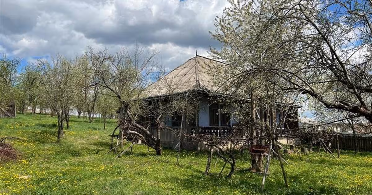 Teren intravilan de vânzare de 4872 mp, în Antoceni