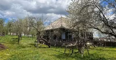 Teren Antoceni