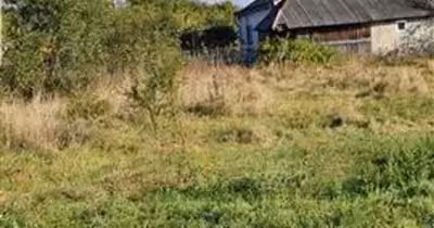 Teren Burdujeni