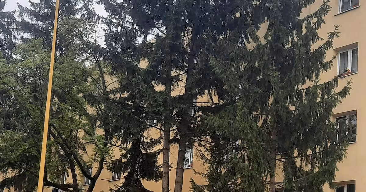 Garsonieră de vânzare în zona Gemenii, Brașov