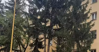 Garsonieră Gemenii