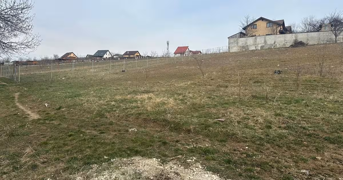 Teren Construcții intravilan de vânzare de 800 mp, în Bod
