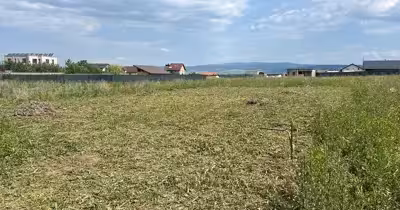 Teren Tractorul