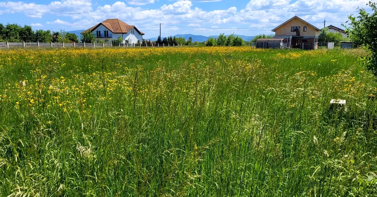Teren Construcții intravilan de vânzare de 5700 mp, în Podu Oltului