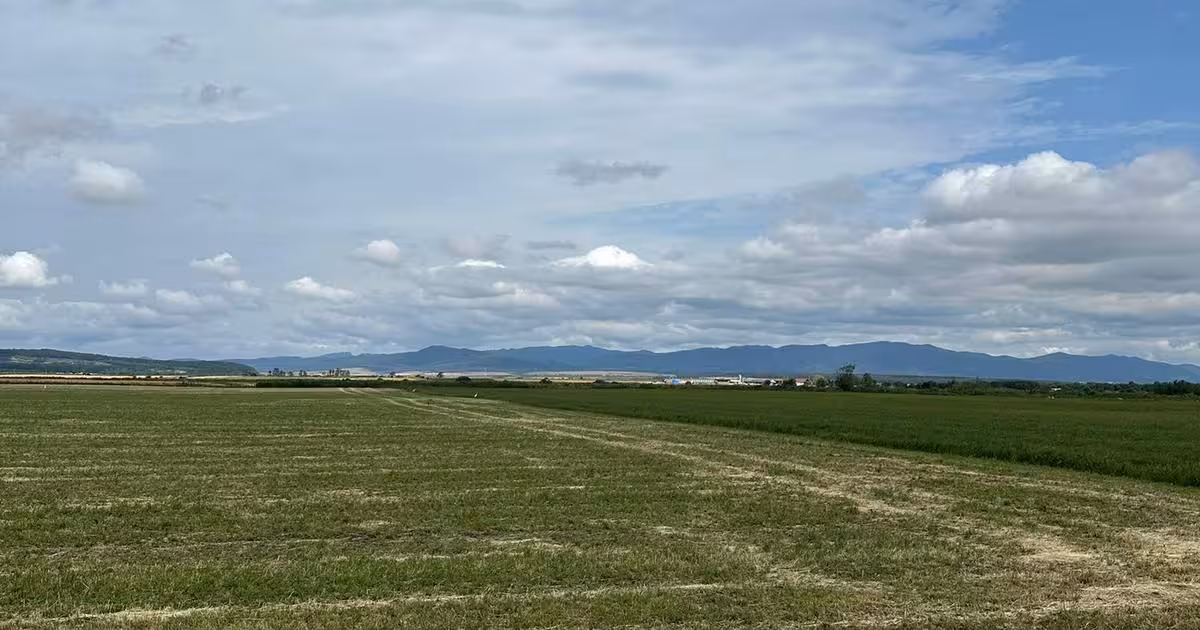 Teren agricol extravilan de vânzare de 10000 mp, în Hălchiu