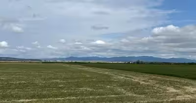 Teren Tractorul