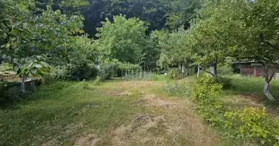Teren Făget