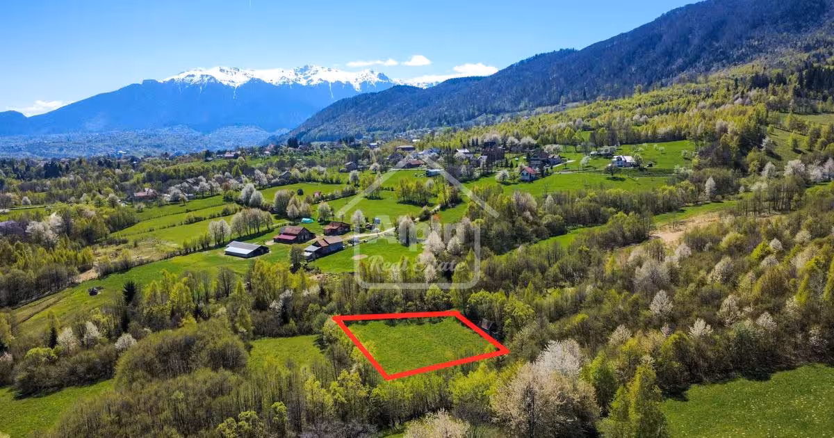 Teren Construcții intravilan de vânzare de 2600 mp, în Bran