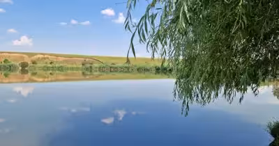Teren Polcești