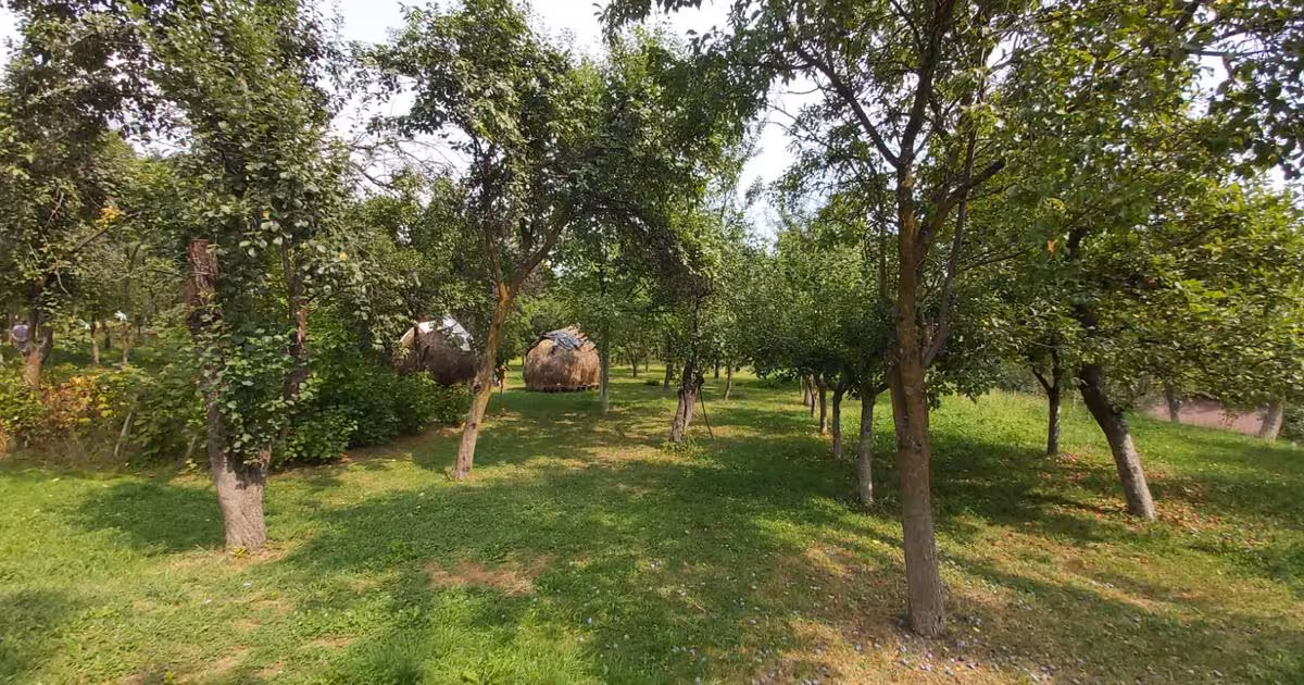 Teren Construcții intravilan de vânzare de 6000 mp, în Breaza