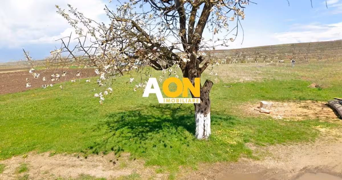 Teren Construcții intravilan de vânzare de 3600 mp, în zona Sud, Alba Iulia