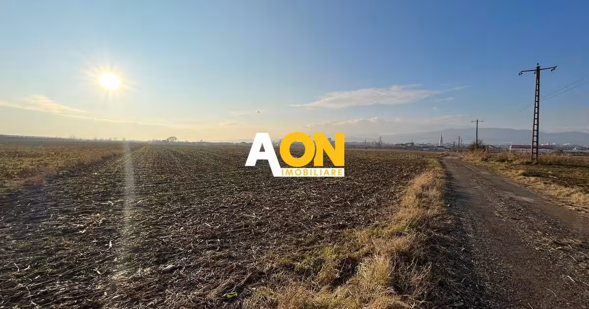 Teren Construcții intravilan de vânzare de 25000 mp, în zona Periferie, Alba Iulia