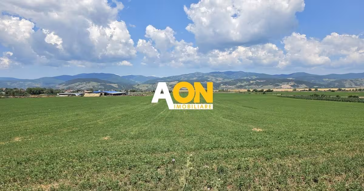 Teren Construcții intravilan de vânzare de 21300 mp, în Vințu de Jos