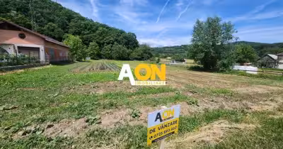 Teren Ampoița