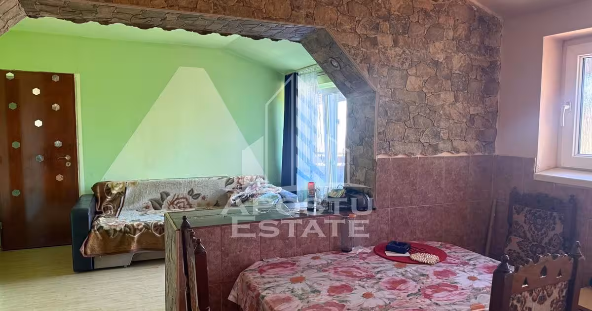 Casă individuală de vânzare cu 7 camere în zona Buziașului, Timișoara