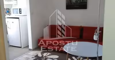 Garsonieră Aradului