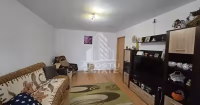 Apartament Lipovei