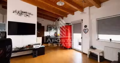 Apartament Torontalului