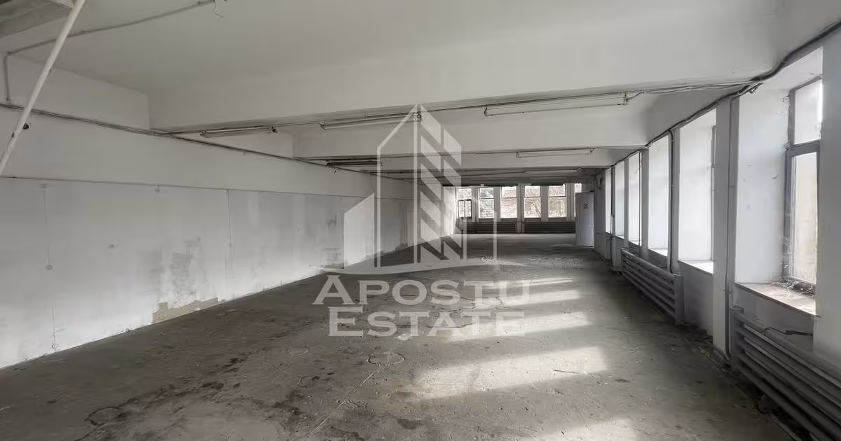 Spațiu comercial · 1050 m², Șagului, Timișoara
