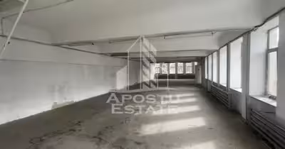 Spațiu comercial Șagului