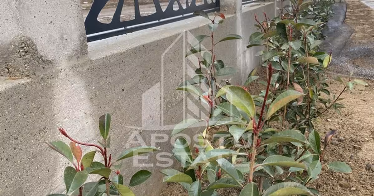 Duplex de vânzare cu 4 camere în Bucovăț (Remetea Mare)