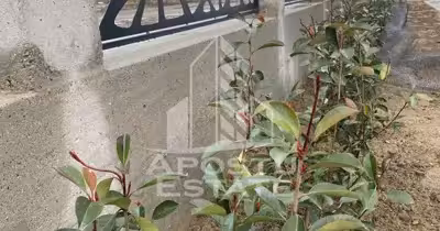 Apartament Complexul Studențesc