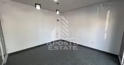 Spațiu comercial Lipovei