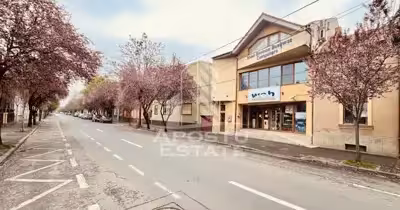 Spațiu comercial Central